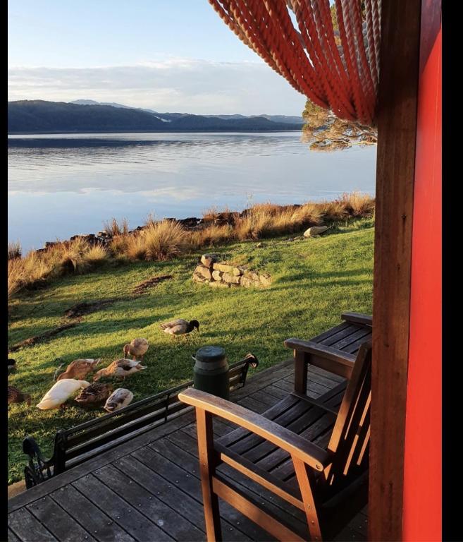 Salt Box Hideaway - Ferienwohnung Strahan