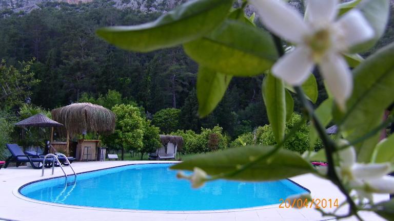 Portalimo Lodge Hotel - Adult Only +12 - Ferienwohnung Çıralı