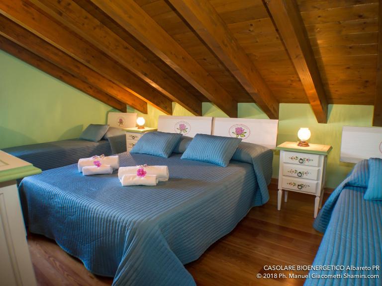 Il Casolare Bioenergetico - B&B Albareto