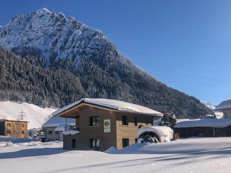 Woodpecker Chalets - Ferienwohnung Klösterle