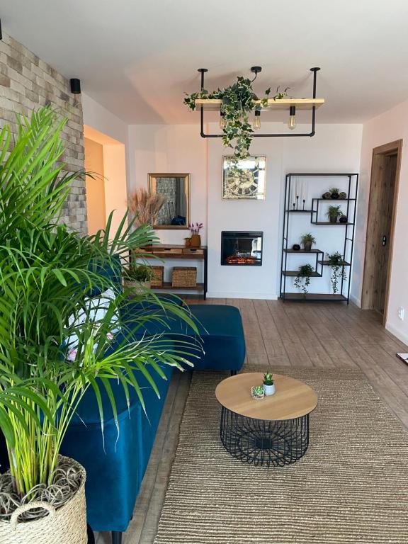 Sarah Home - B&B Hunedoara