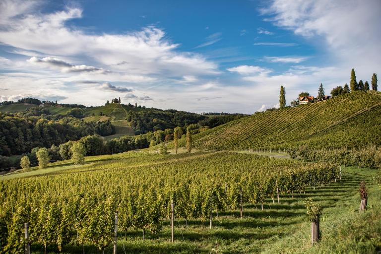 Ferienwohnungen Weingut Familie Danko - B&B Gamlitz