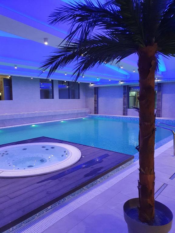 SUNCANI BREG - STUDIO 11 - B&B Kopaonik