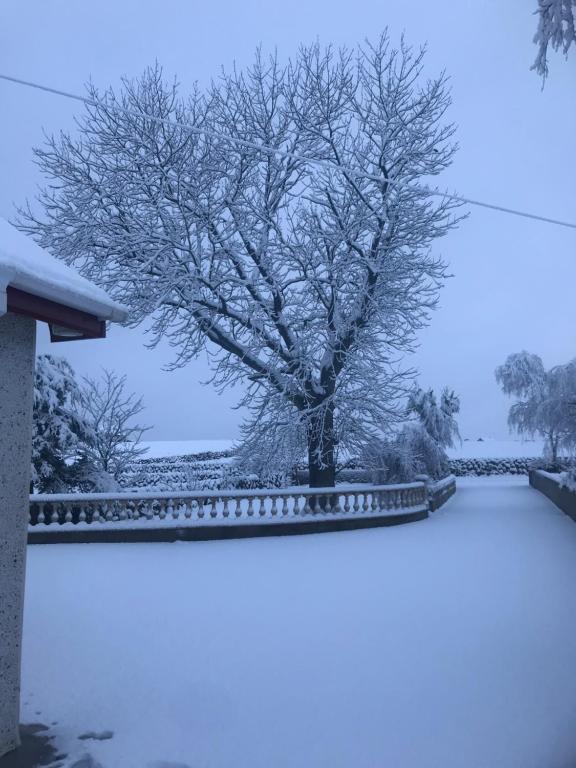 Foot of the Mournes - Cottage - Sleeps 4 - Parking - Ferienwohnung Newry