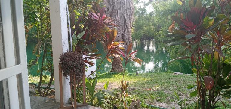 tamasopo y sus rios - B&B Tambaca