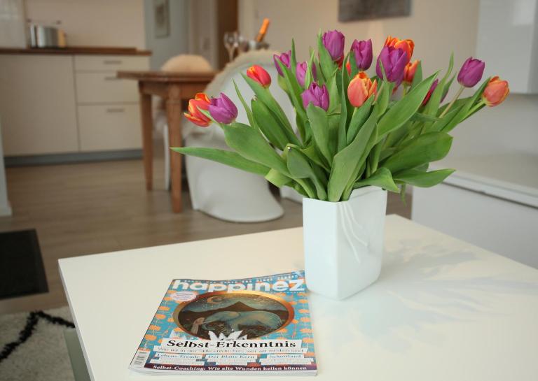 Casa Annika - Ferienwohnung Bodman-Ludwigshafen