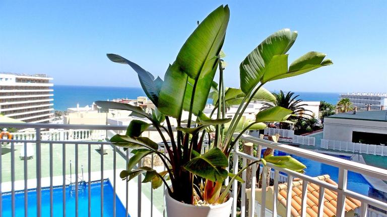 Seaview Retreat Torremolinos City Center, with pool and amazing views BY NAMASTE ELITE - B&B Torremolinos