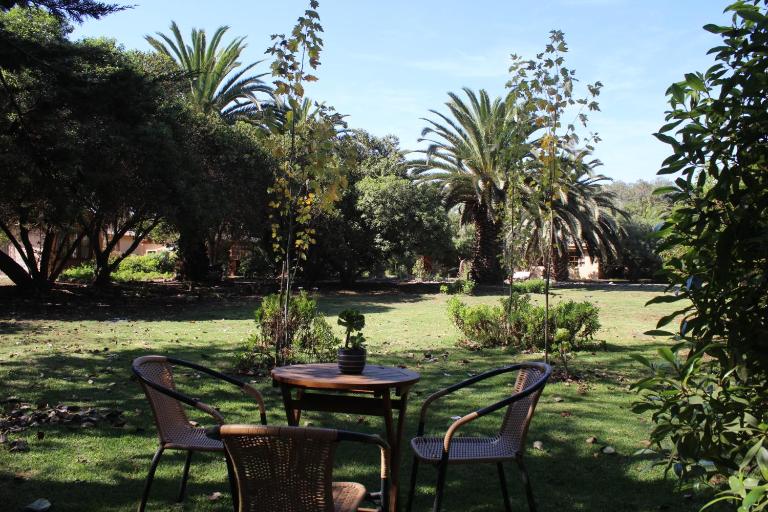 Eco Refugio El Arbol - B&B La Serena