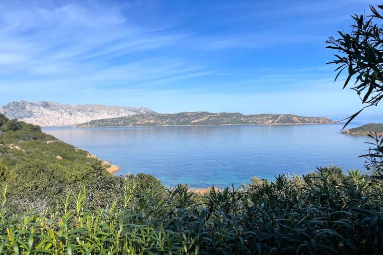 Punta Est - Trilo LENTISCHIO Giardino a 300m Mare - B&B Capo Coda Cavallo