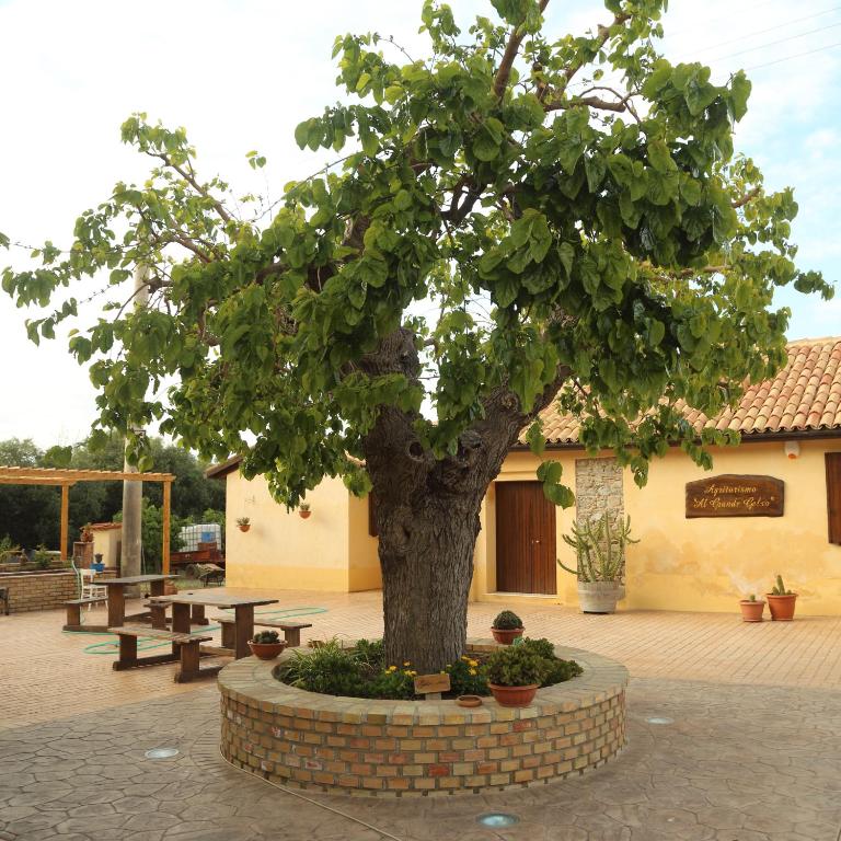 Al Grande Gelso - Chambres d'hôtes Cariati