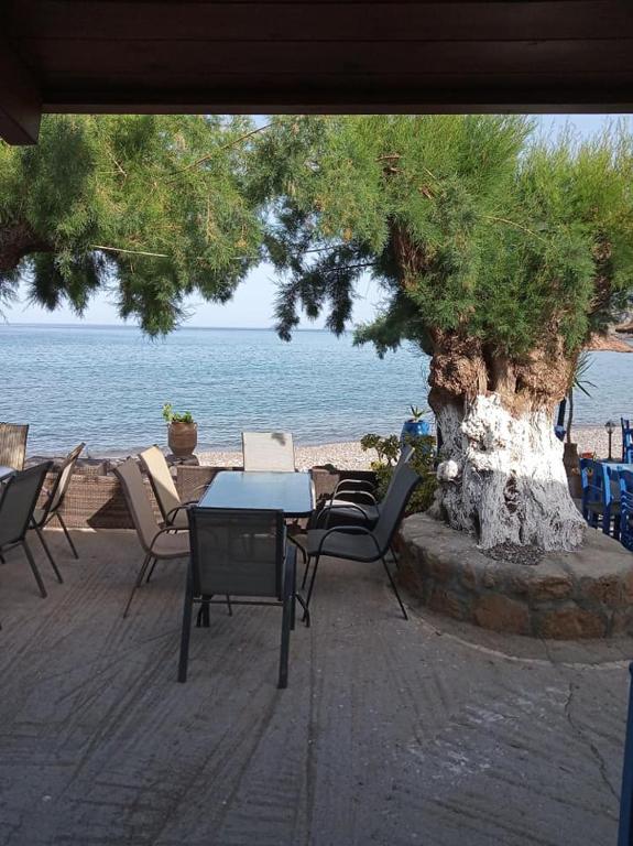 Beachfront Apartment Kato Zakros - Bed and Breakfast Káto Zákros