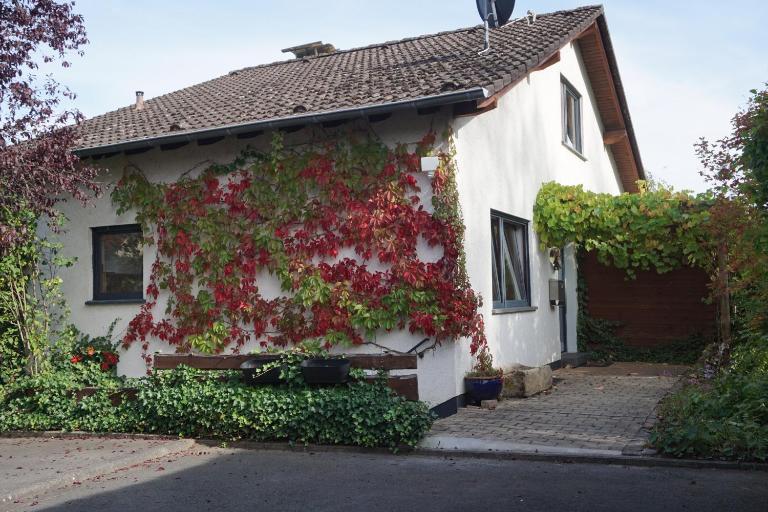 Haus Eifeldolomiten - Ankommen und Wohlfühlen - Ferienwohnung Gerolstein