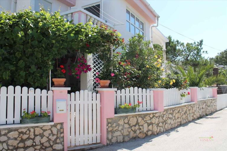 Apartment Povljana 1 - B&B Povljana