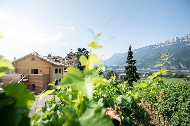 Weingut Kornell - Schafferhaus Cosmas und Zeder - Chambres d'hôtes Terlano