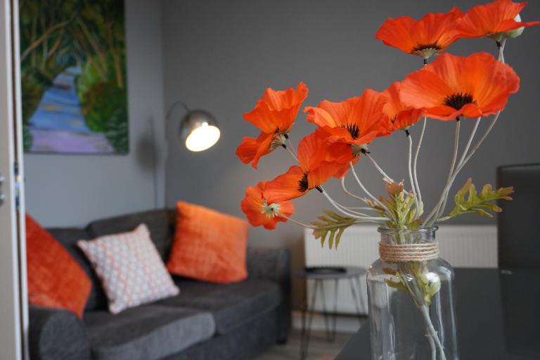 VIP Church View Apartment - Chambres d'hôtes Portadown