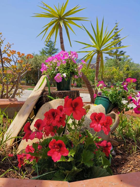 Frida casavacanze - B&B Castellammare del Golfo