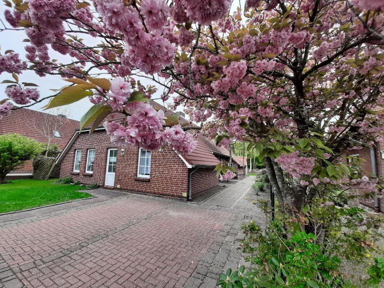 Ebbe - Ferienwohnung Norden