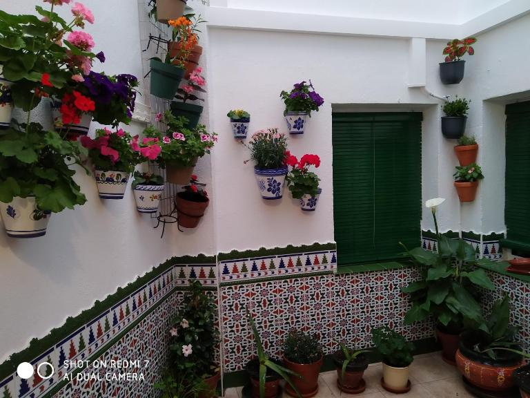 Alicante-Rental Alojamientos Turisticos CULTURAS Y COLORES EN ALMAGRO -Parking -Promocion EMPRESAS- - B&B Almagro