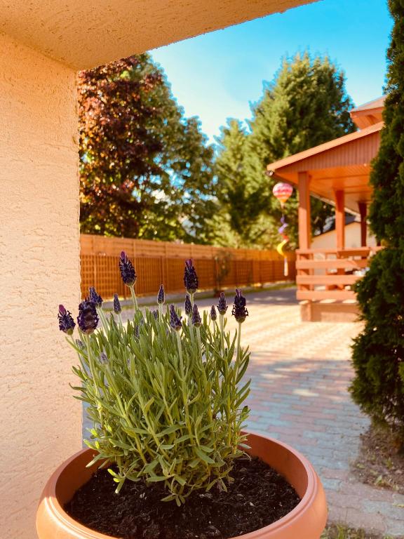 Mimi Apartments - B&B Zamárdi