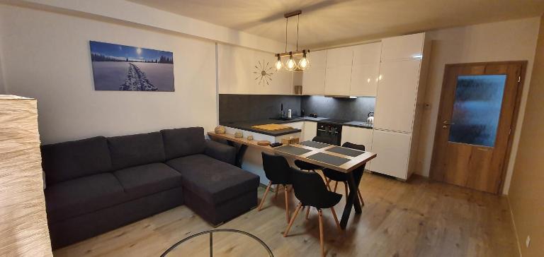 Apartmán Nerudovka D 104, Finská sauna, garážové stání - Chambres d'hôtes Loučná pod Klínovcem