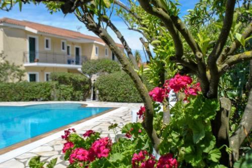 Moulinos Studios - B&B Svoronáta