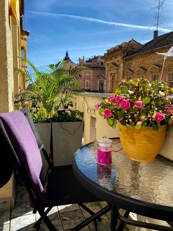 Schäffer Palace - B&B Seghedino