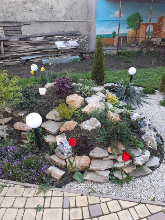 Ирина - B&B Odesa