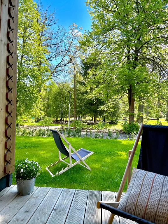 Apartament Magia Puszczy z widokiem na Puszcze Białowieska - B&B Hajnówka