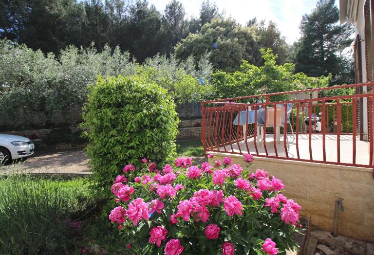 Apartment Ema near city center - B&B Poreč