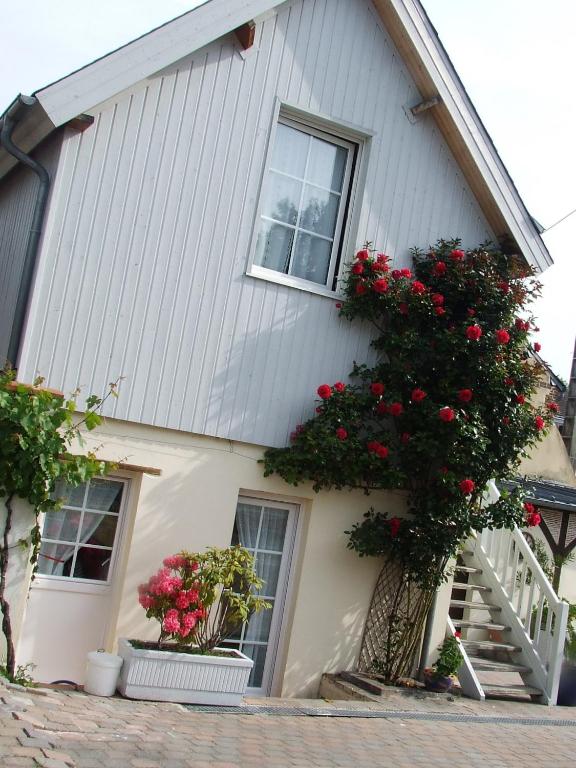 Gite les Orchidées - B&B Honfleur
