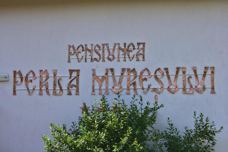 Perla Muresului - B&B Alba Iulia