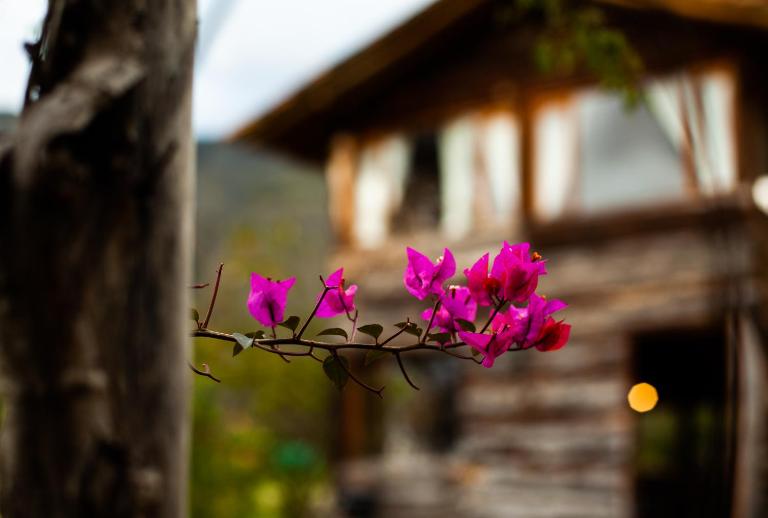 "Acogedora Cabaña Ojo de Agua en Villa de Leyva -Vistas Increíbles de las Montañas Iguaque! - Ferienwohnung Villa de Leyva