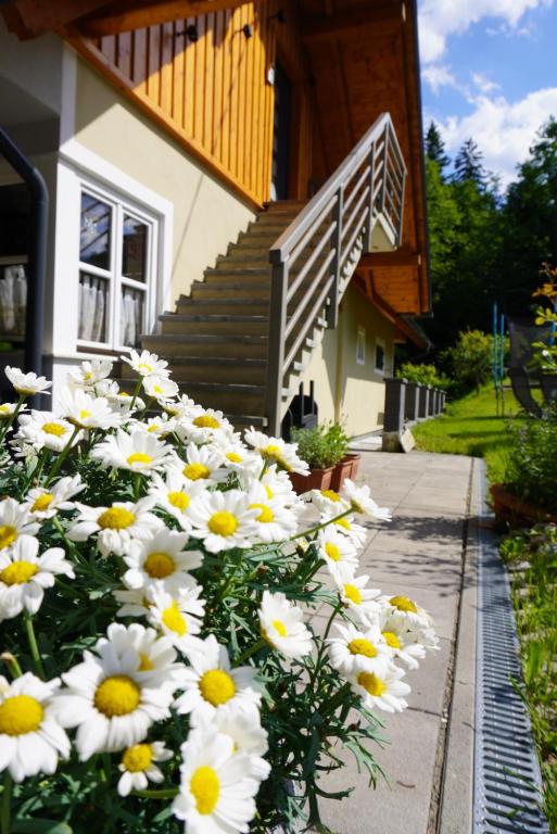Ferienwohnung Heidi - B&B Leutschach