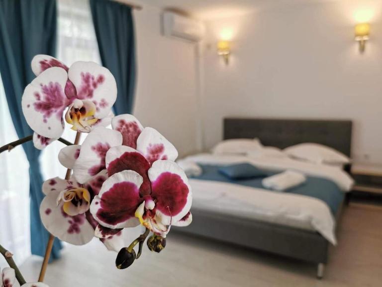 Casa Loro - B&B Eforie Sud