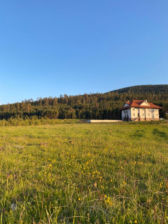 Apartmani Ribnica Tornik - Chambres d'hôtes Zlatibor