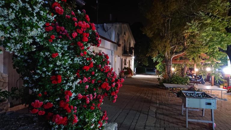La Quiete - B&B Montenero di Bisaccia