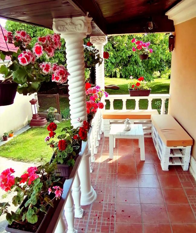 Vrdnik apartmani Sara - B&B Vrdnik