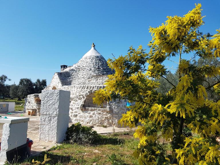 Trullo magico - Bed and Breakfast Ostuni