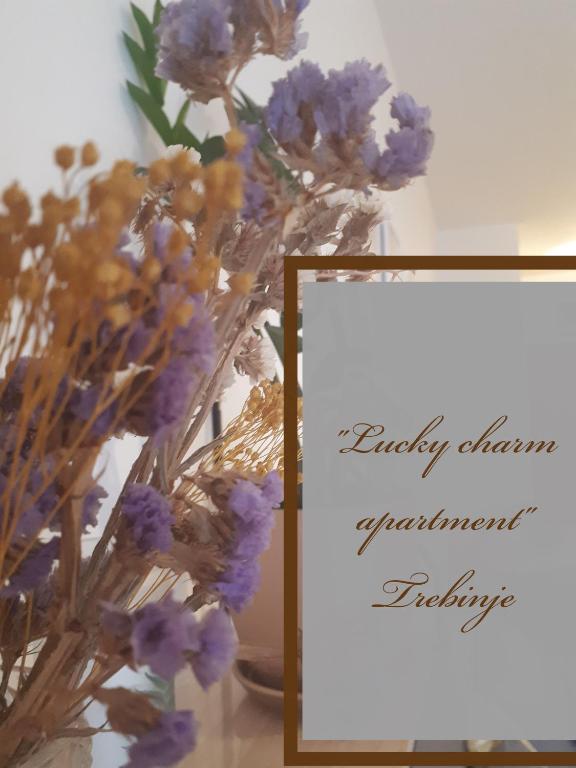 Lucky Charm studio apartment - Ferienwohnung Trebinje
