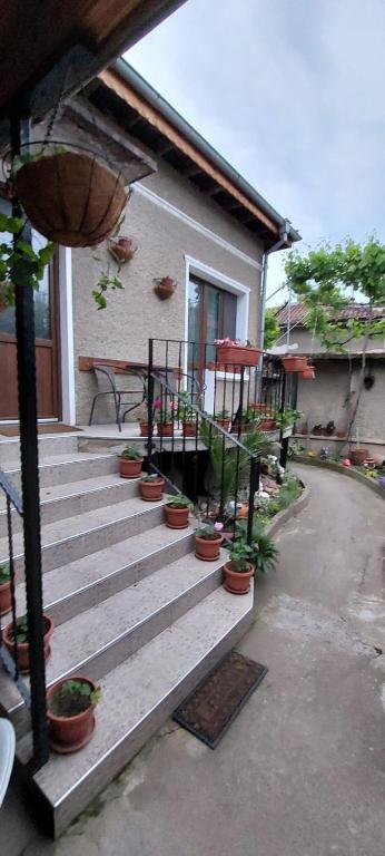 Guest House Kukera - B&B Pavel Banya