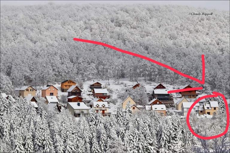 Fraîcheur , forêt d'Aubrac , au coeur de la nature - B&B Prades-d'Aubrac
