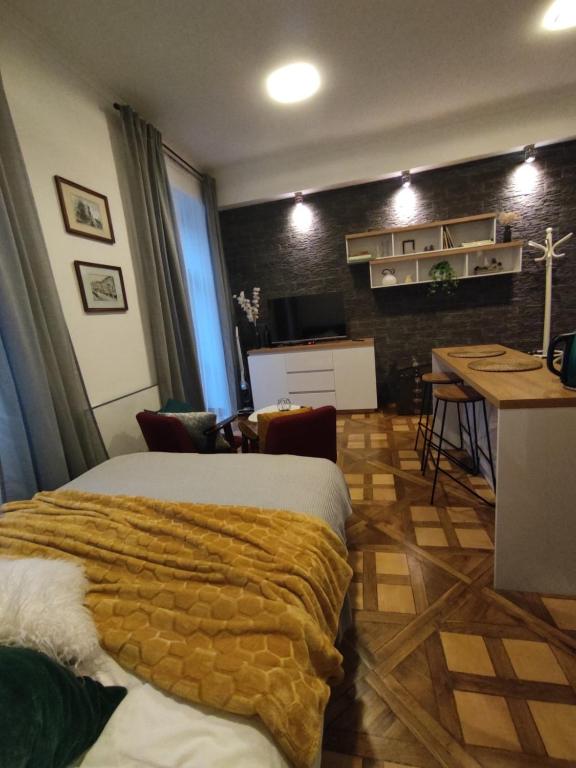 Apartament Łapacz Snów Przemyśl - Chambres d'hôtes Przemyśl