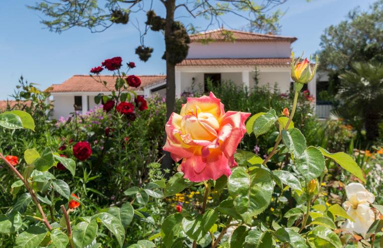 Quinta de São Pedro - Ferienwohnung Sobreda