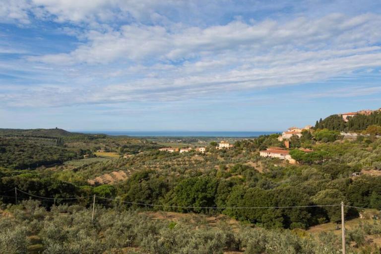 Toscana Mare/Collina Castagnaeto Carducci - B&B Castagneto Carducci