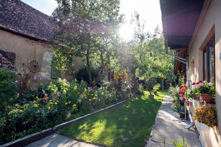 Villa Rihuini Retreat viticol eco & de patrimoniu în Transilvania - Chambres d'hôtes Richiș