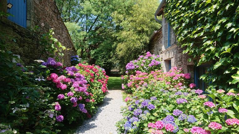 les floralis studio - Bed and Breakfast La Grée-Saint-Laurent