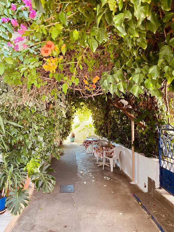 Afroditi Pension - Bed and Breakfast Archángelos