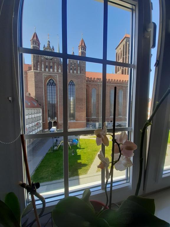 Apartment in Old Town - view of Mariacki Church - Chambres d'hôtes Gdańsk