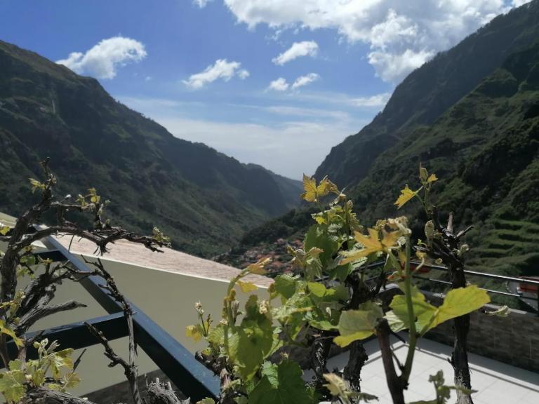 Green Valley House Madeira - Bed and Breakfast Ribeira Brava