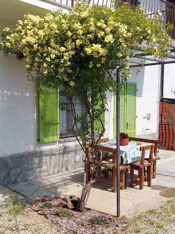 Pelagallo - B&B Bagnolo Piemonte